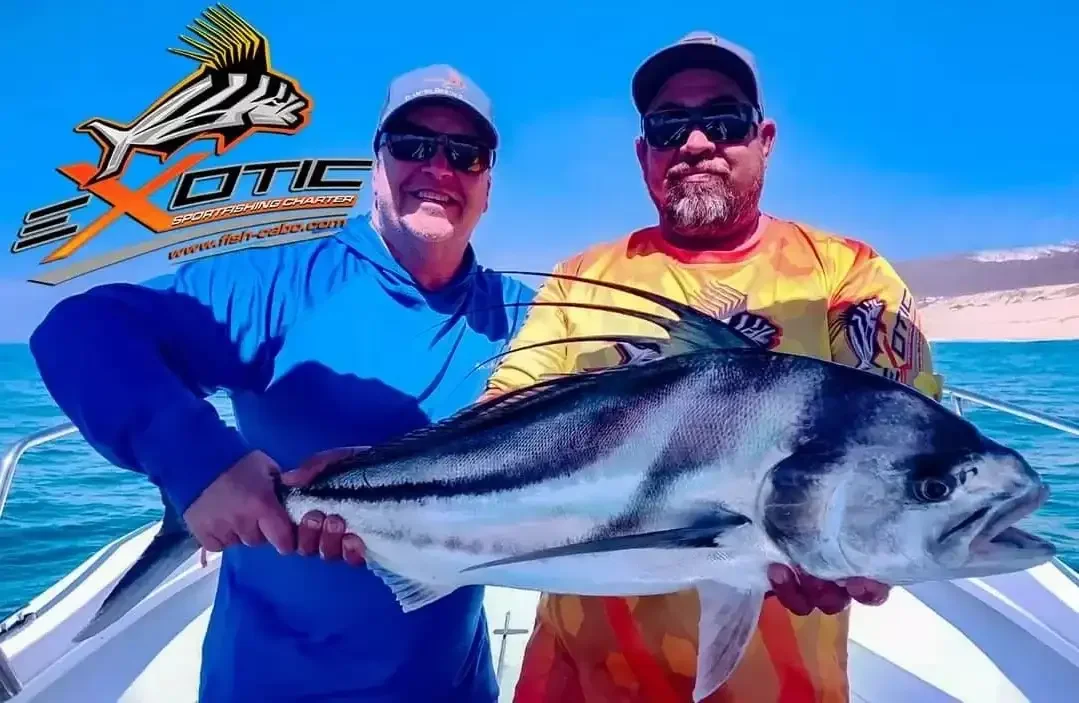 Back on Roosters !!!