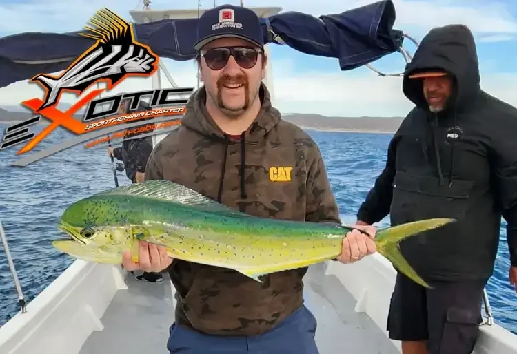 Great month for Dorado (mahi)