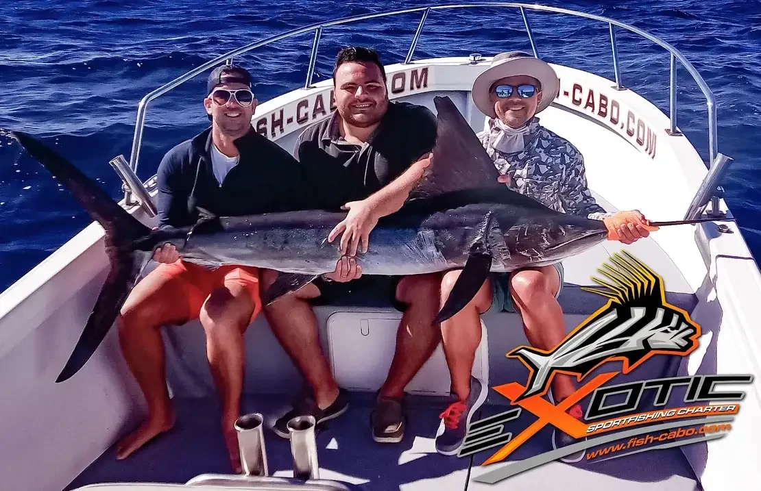 Cortez sea, Friends, Marlin....what else ?