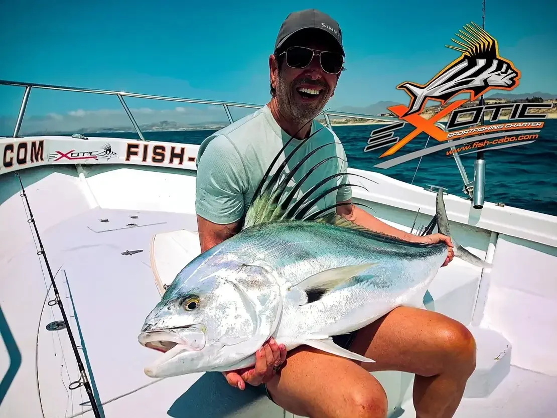 KING KONG got off the hook !!!