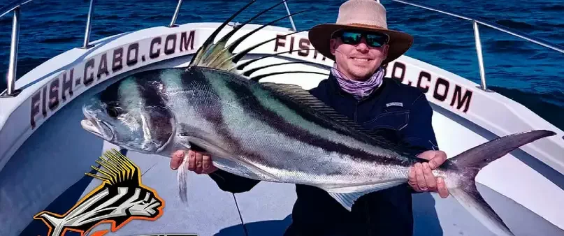 A late Rooster fishing season !