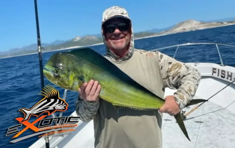 The mahi-mahi were in abundance that day...