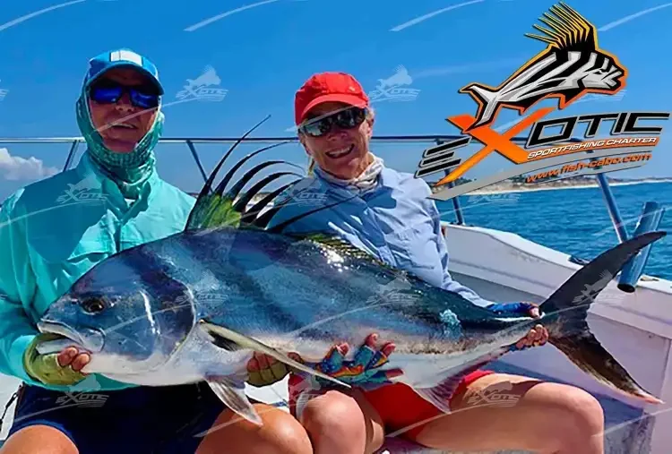 Monsters of June and July