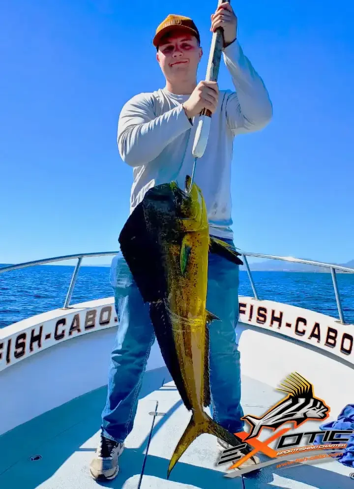 A beautiful day after Christmas