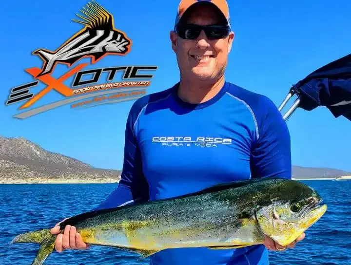 The Mahi Mahi action is still running strong