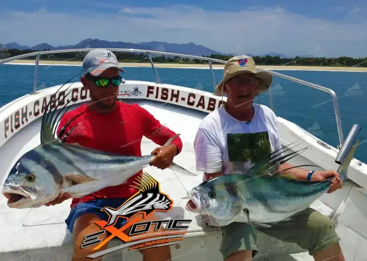 Numerous double headers !