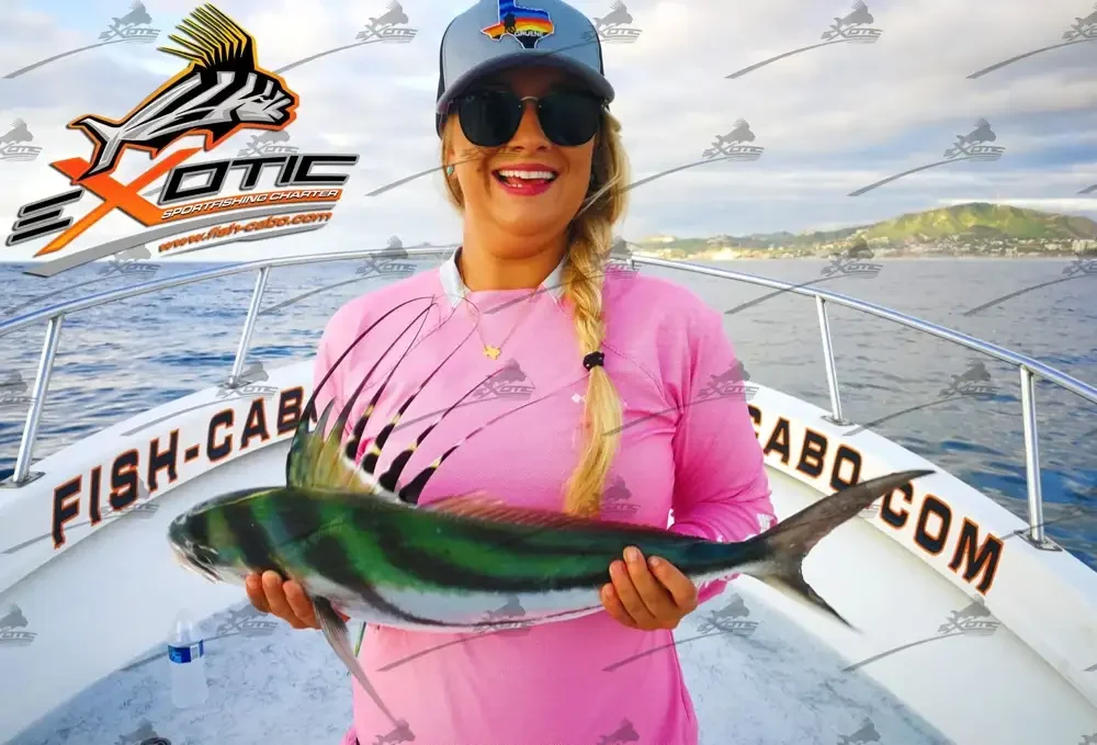 Ladies love Roosters too !