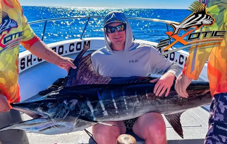 Marlin season still running