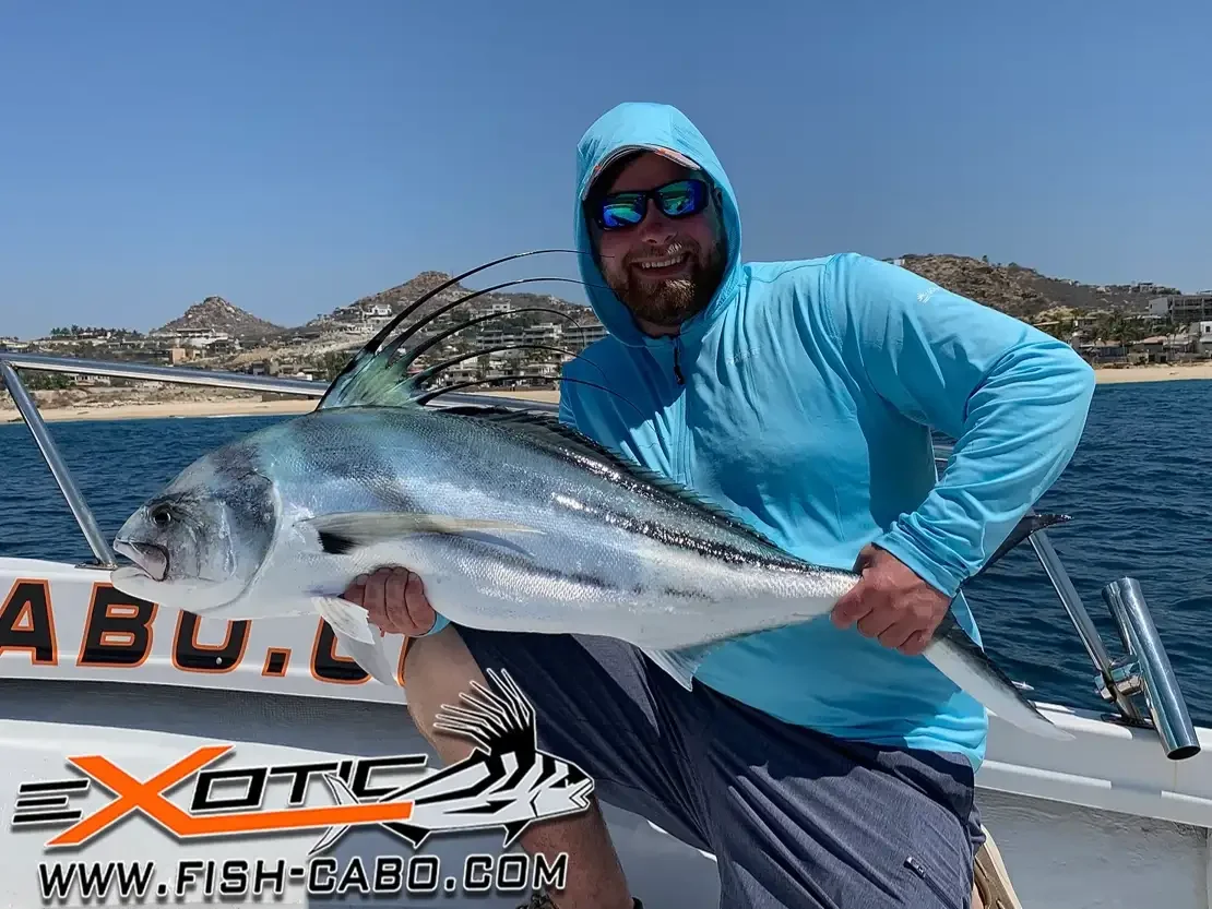 Roosterfish High Season is ON !!!