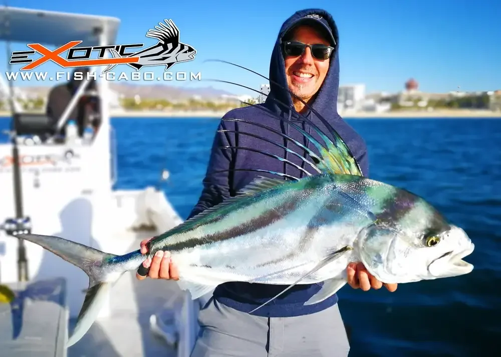 Winter FISHING Roosters