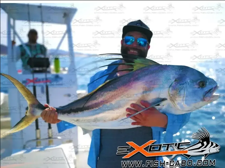 Giant Season is ON for sure !!!