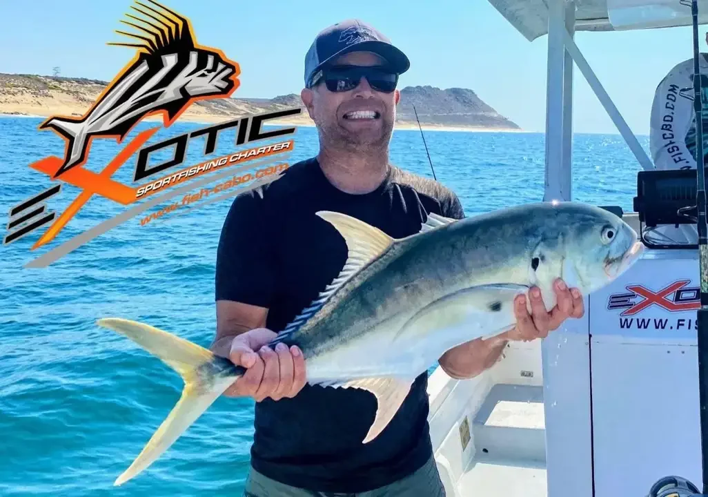 Pacific Jack Crevalle