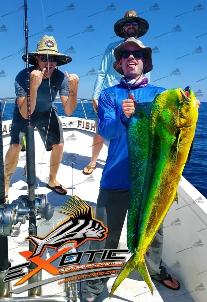 Late September Dorado fishing!!!