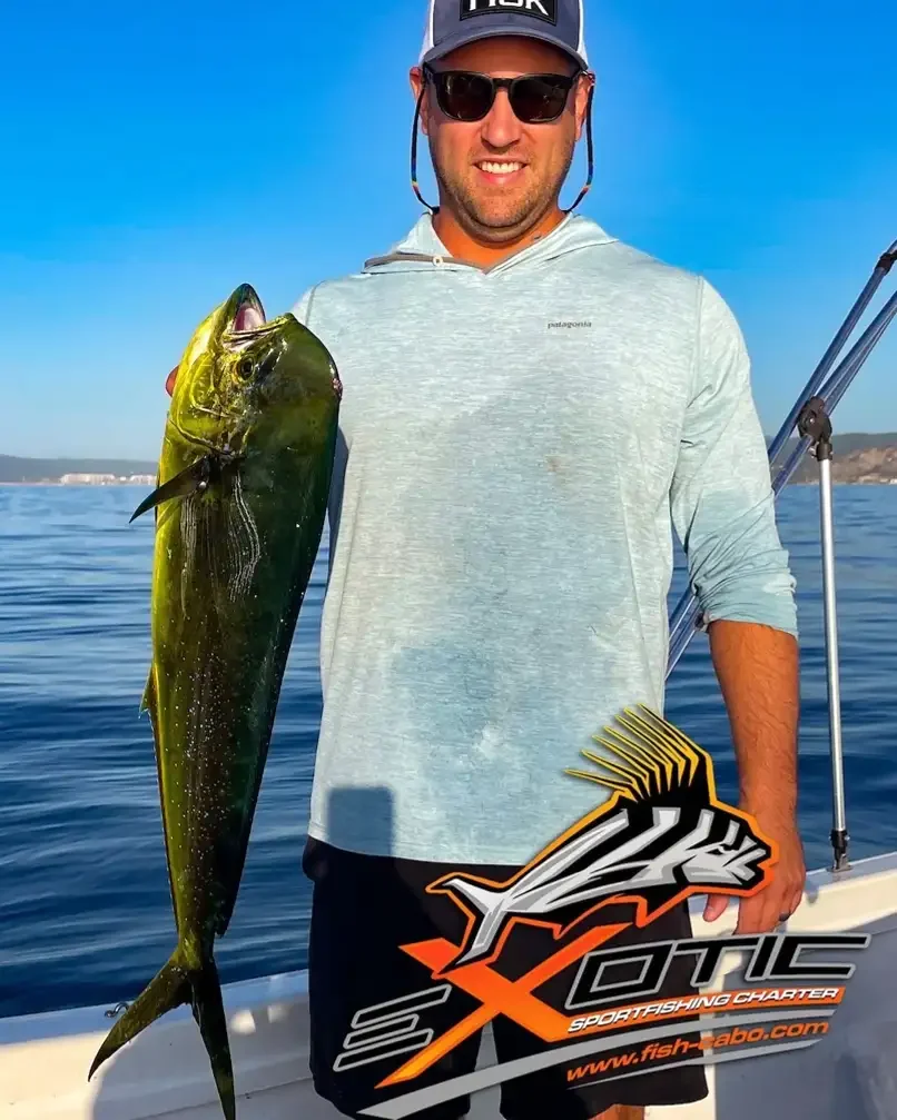 Back to work with the start of Mahi Mahi season