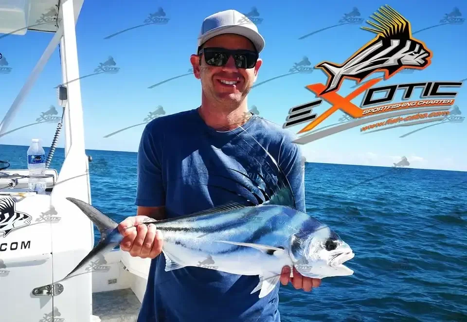 Specially from Australia !!!