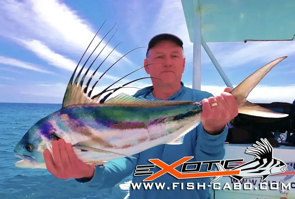 Proud of his first Rooster fish!