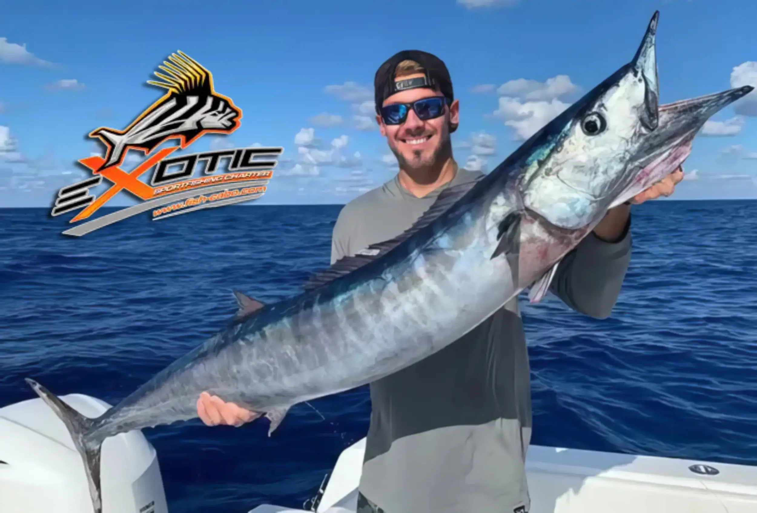 Legions of wahoo !!!