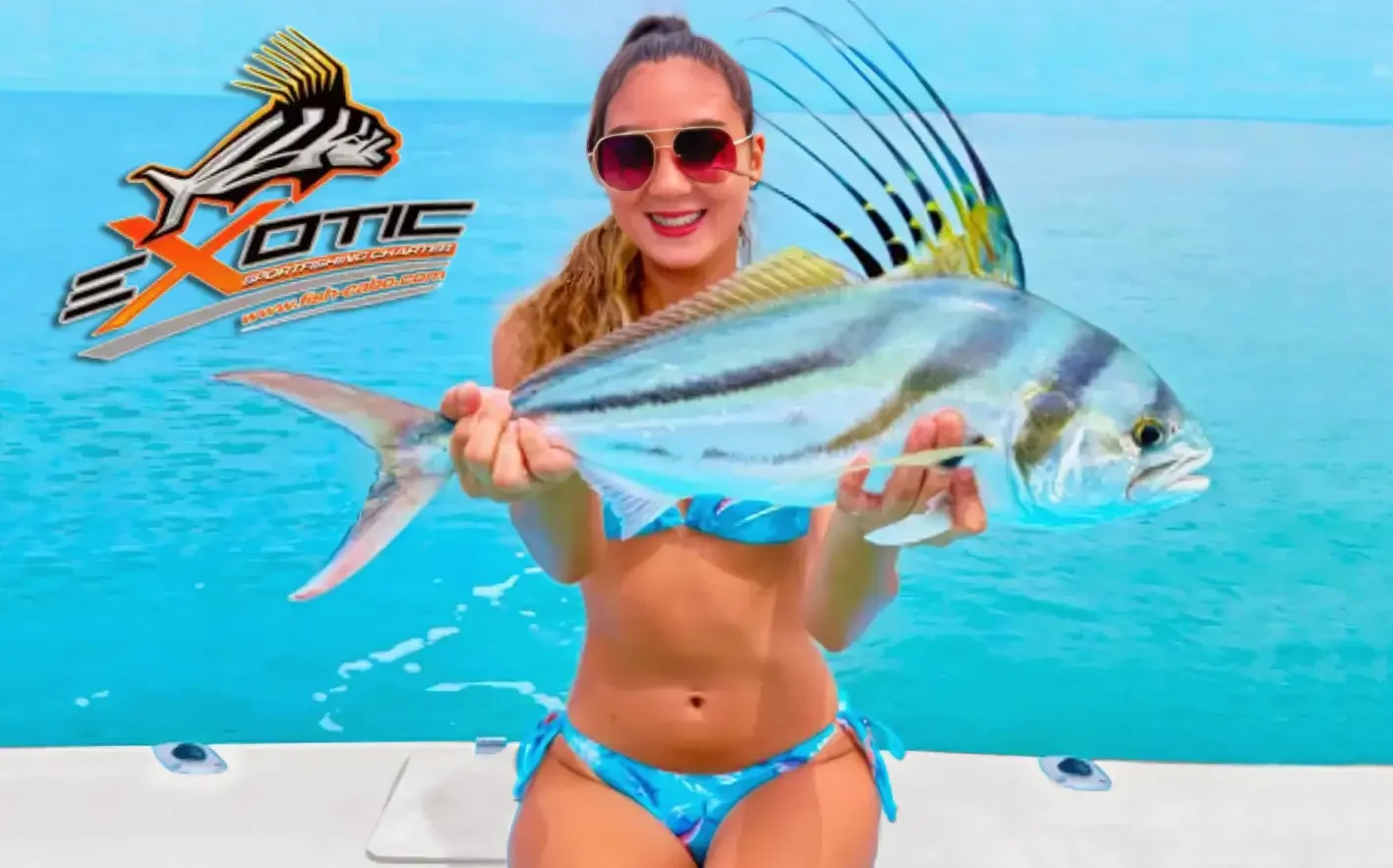 Rooster Fish to MAriko — San José del Cabo 