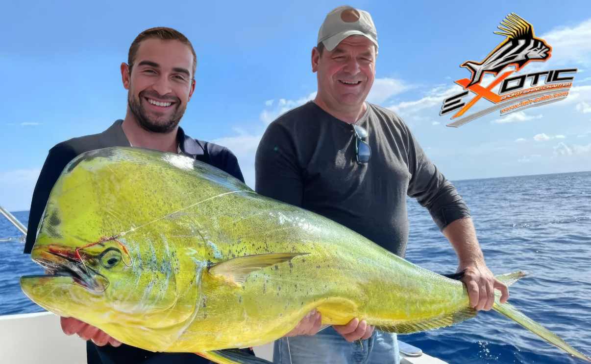 Mahi Mahi Fishing San Jose del Cabo father and son