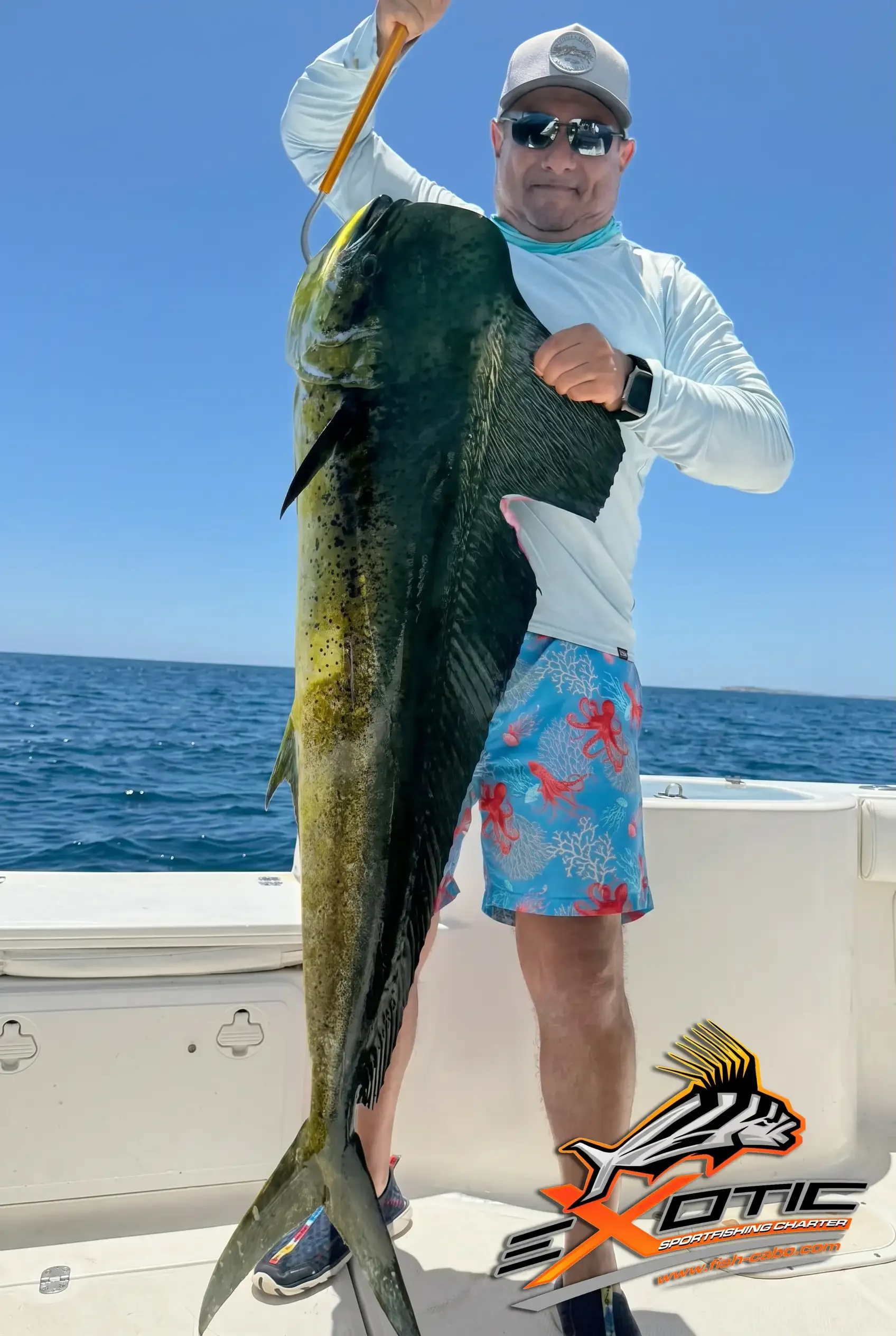 MAHI MAHI BULLS FISHING IN SAN JOSE DEL CABO,  APRIL 2026 Update 