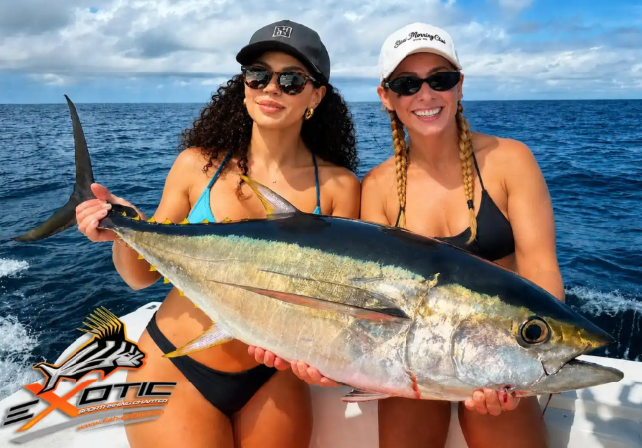 Yellowfin Tuna Action – Fishing San Jose del Cabo – Mid July 2026 Update 
