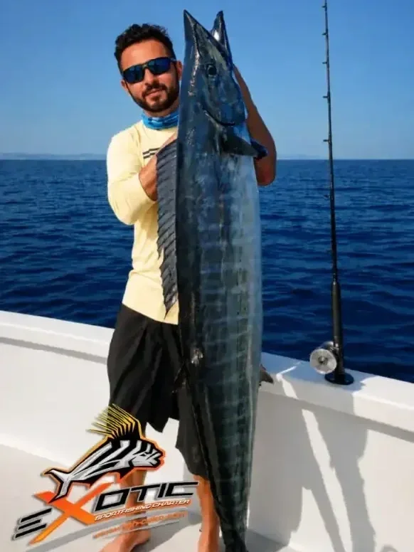 WAHOO Action – Fishing San Jose del Cabo – mid August 2026 Update 