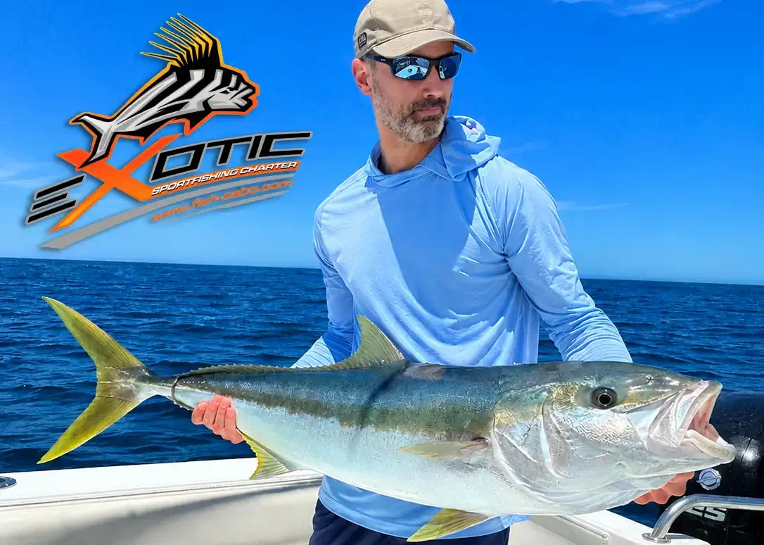 yellowtAIL Action – Fishing San Jose del Cabo – SEPTEMBER 2026 Update