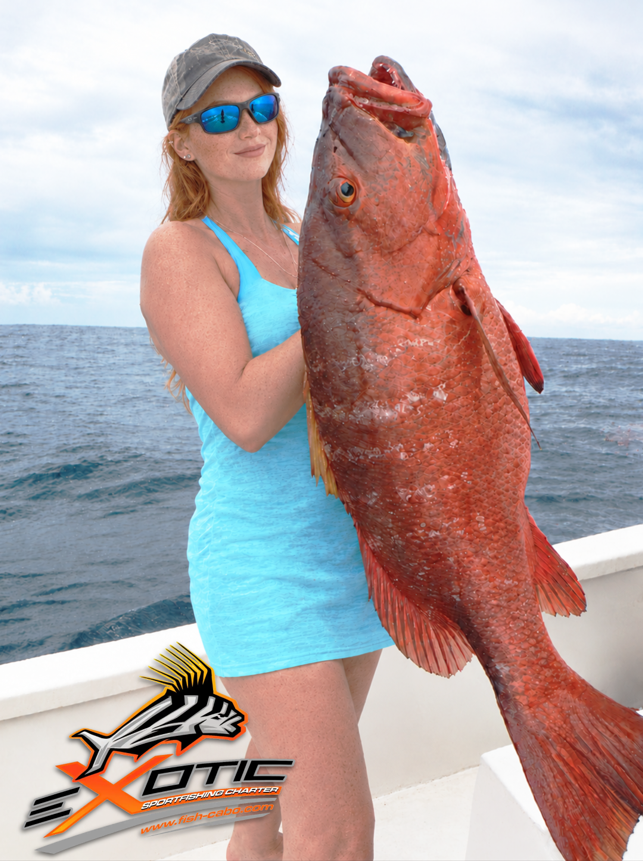 RED SNAPPER Action – Fishing San Jose del Cabo – OCTOBER 2026 Update 