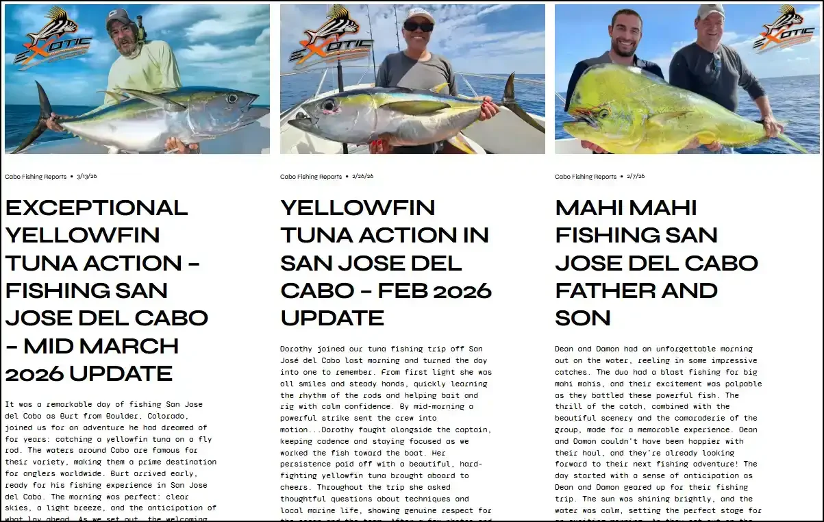 Three photos of men holding large fish, with logos and text describing fishing reports and updates from Cabo and San Jose del Cabo.