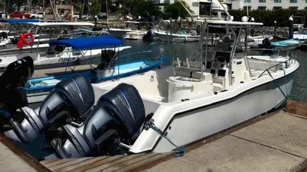 29 Ft Catamaran Center Console back.webp