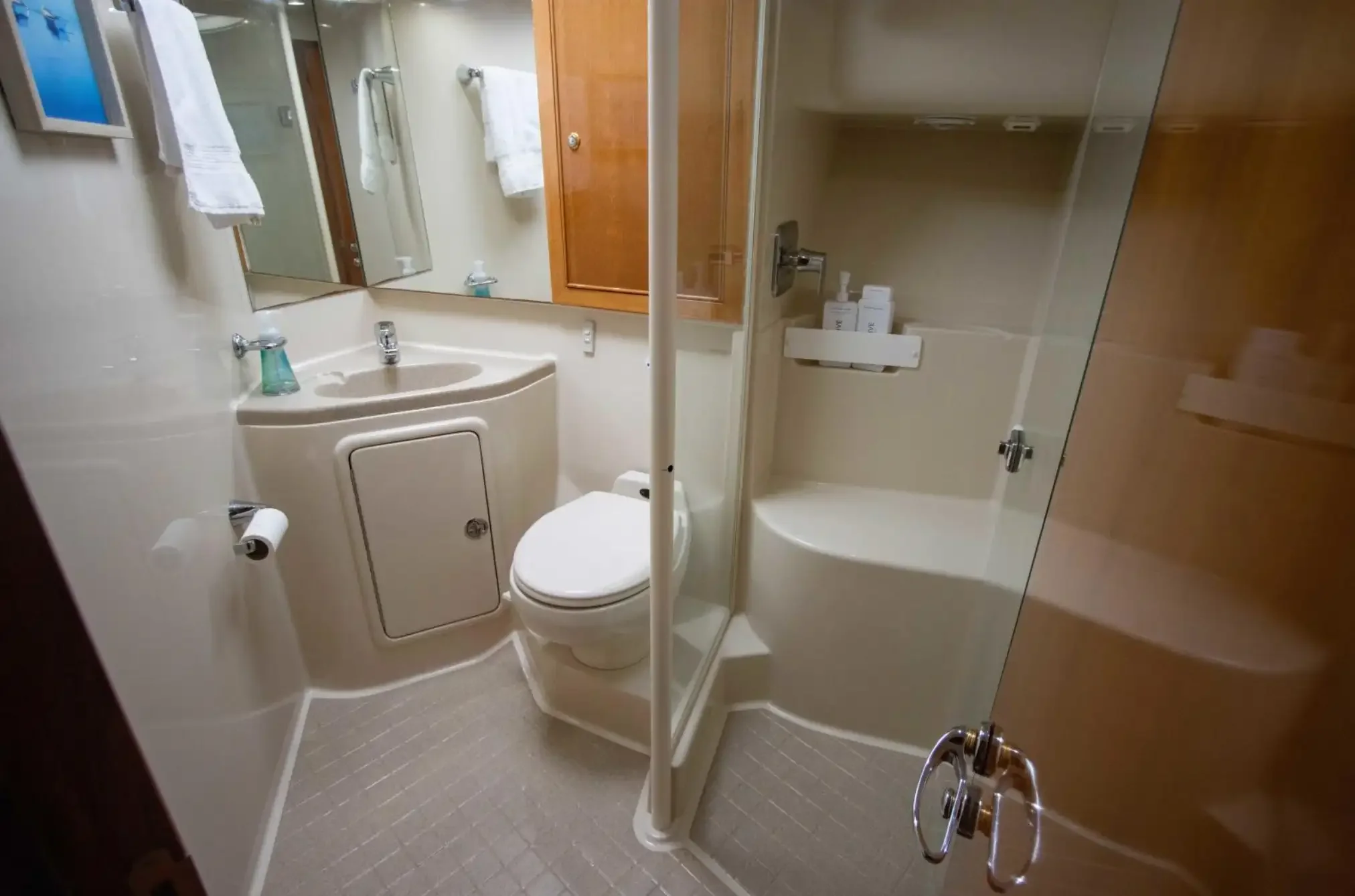 Small bathroom with a sink, mirror, toilet, glass shower enclosure, towels, and toiletries.