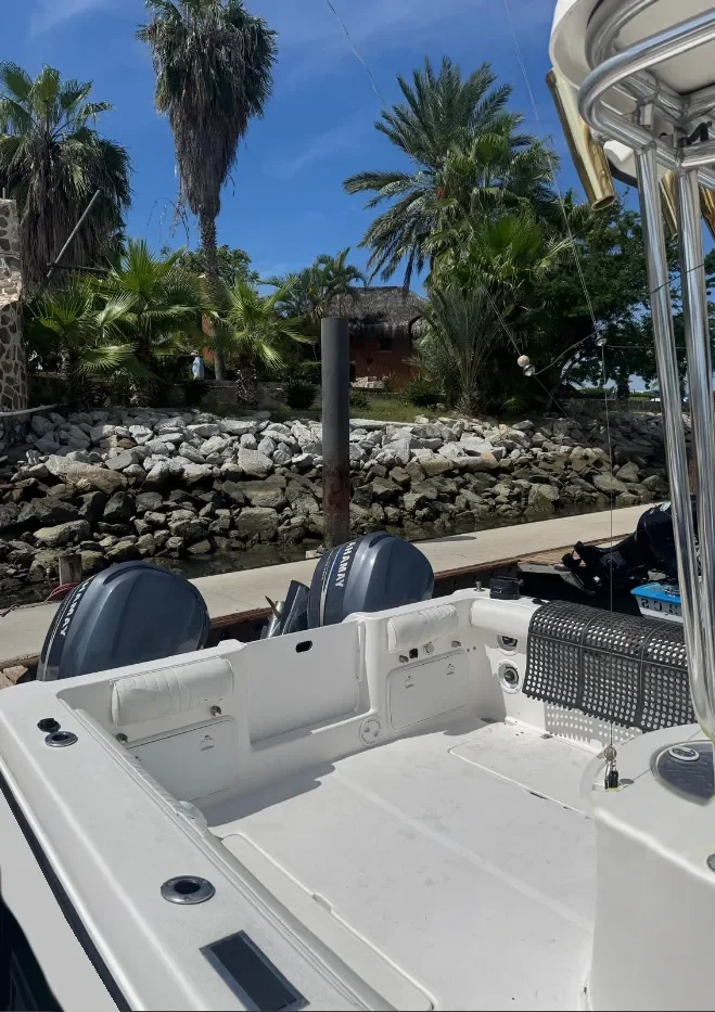 29 Ft Catamaran Center Console engines.webp