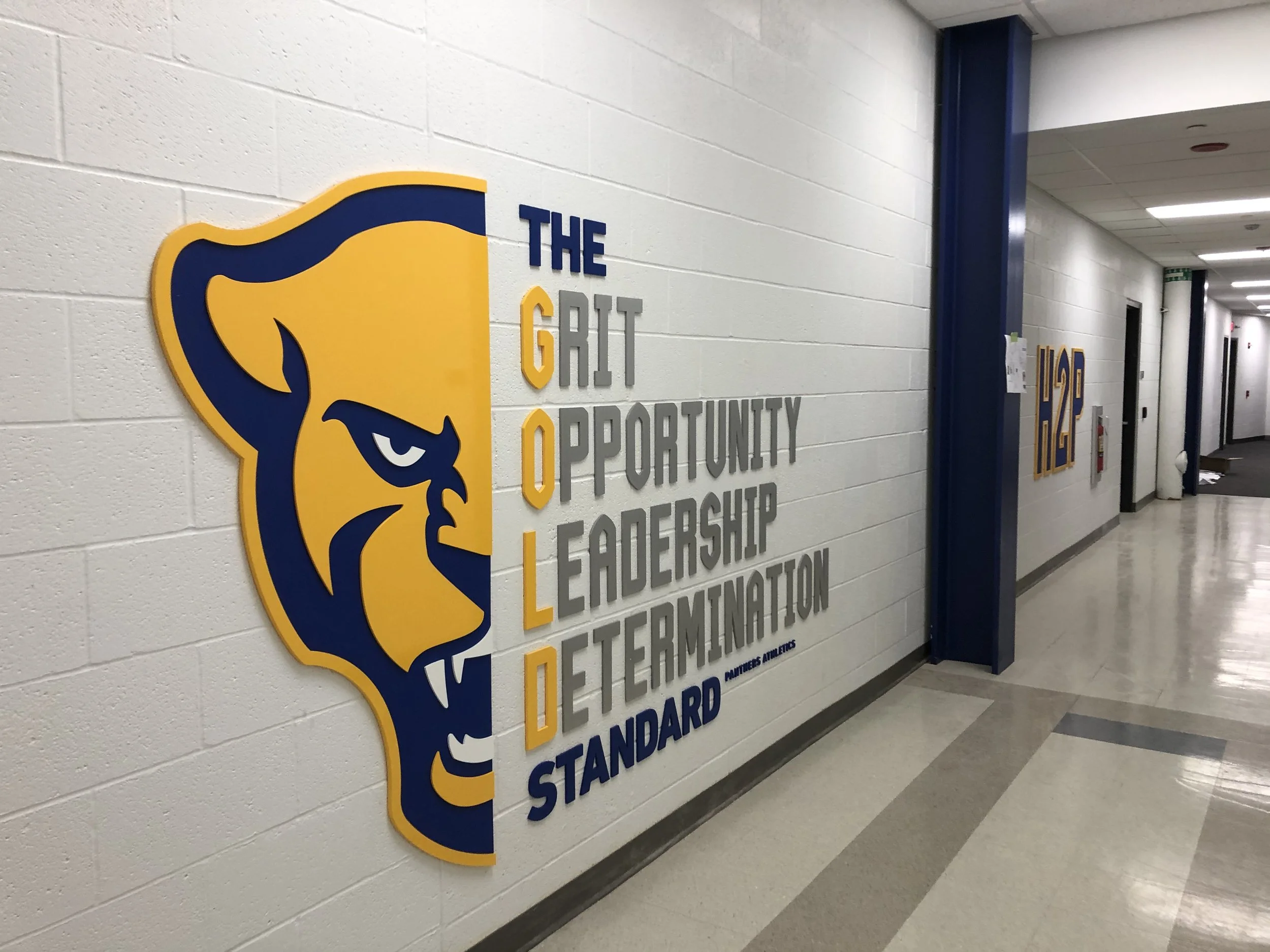 6.1 Gold Standard FCOs.jpg