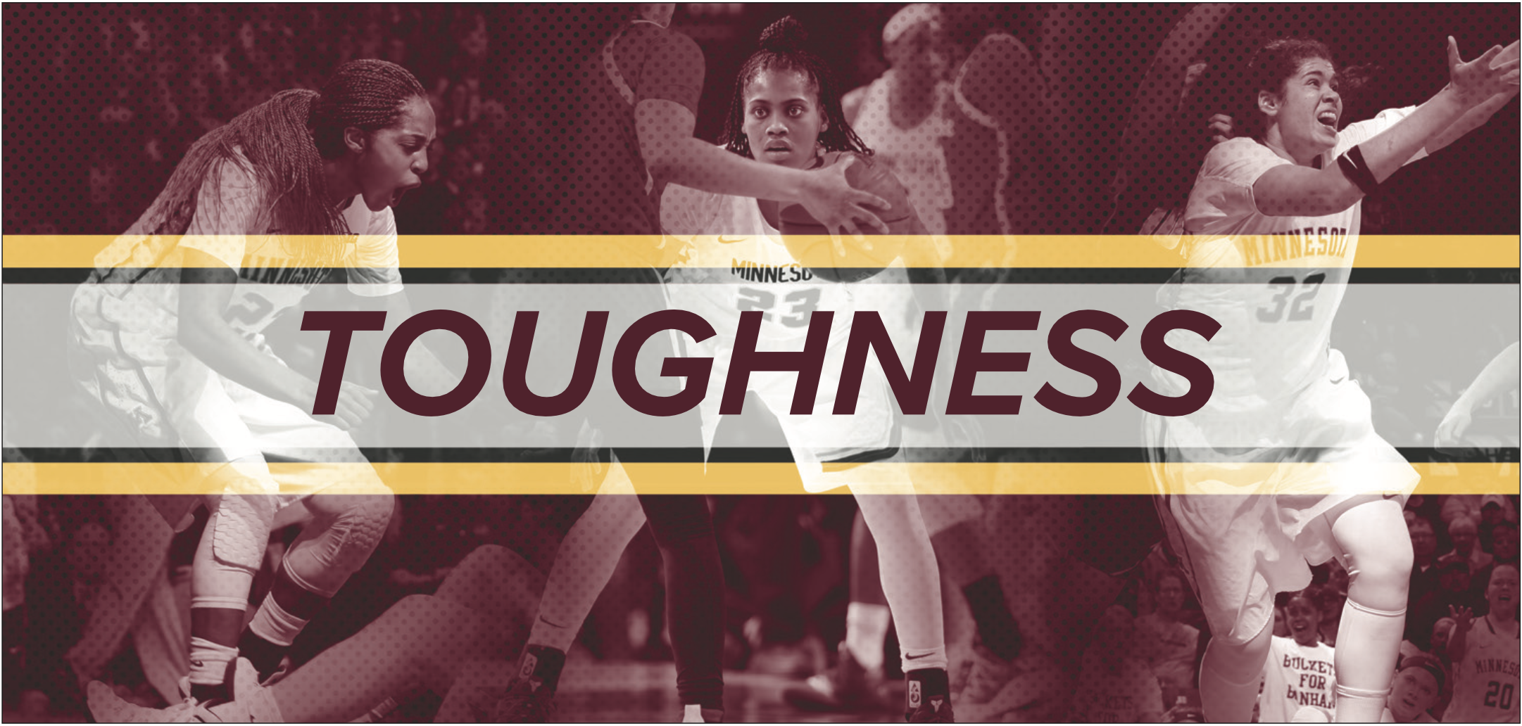 University of Minnesota