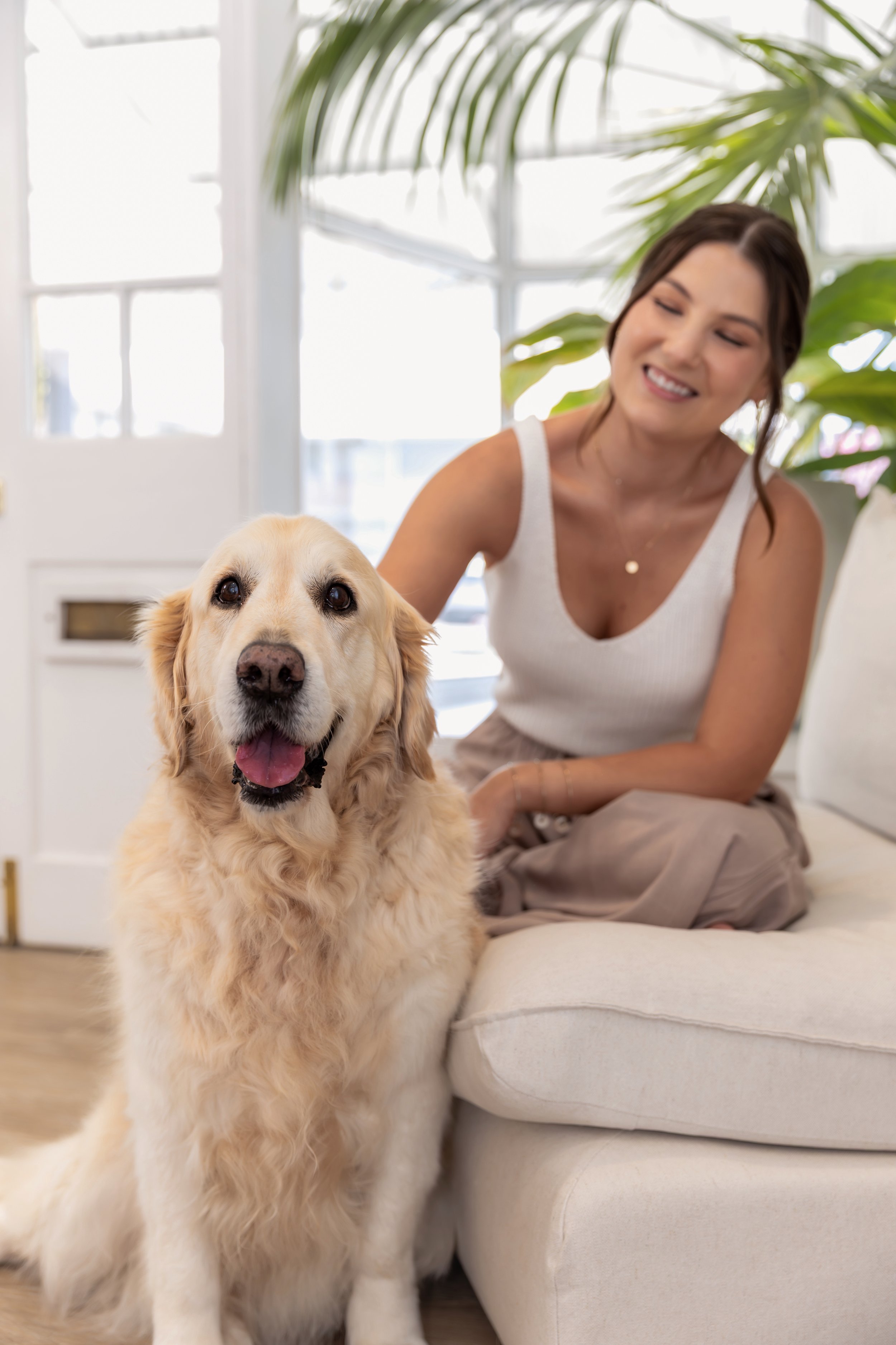 A woman sitting on a beige couch smiling at a happy golden retriever with its tongue out in a bright, airy room with large windows and a potted plant.