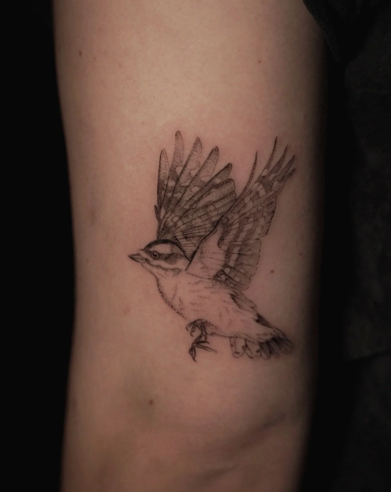 Down Woodpecker this morning for Jen! Thank you for coming @einnej.arres ! ✨