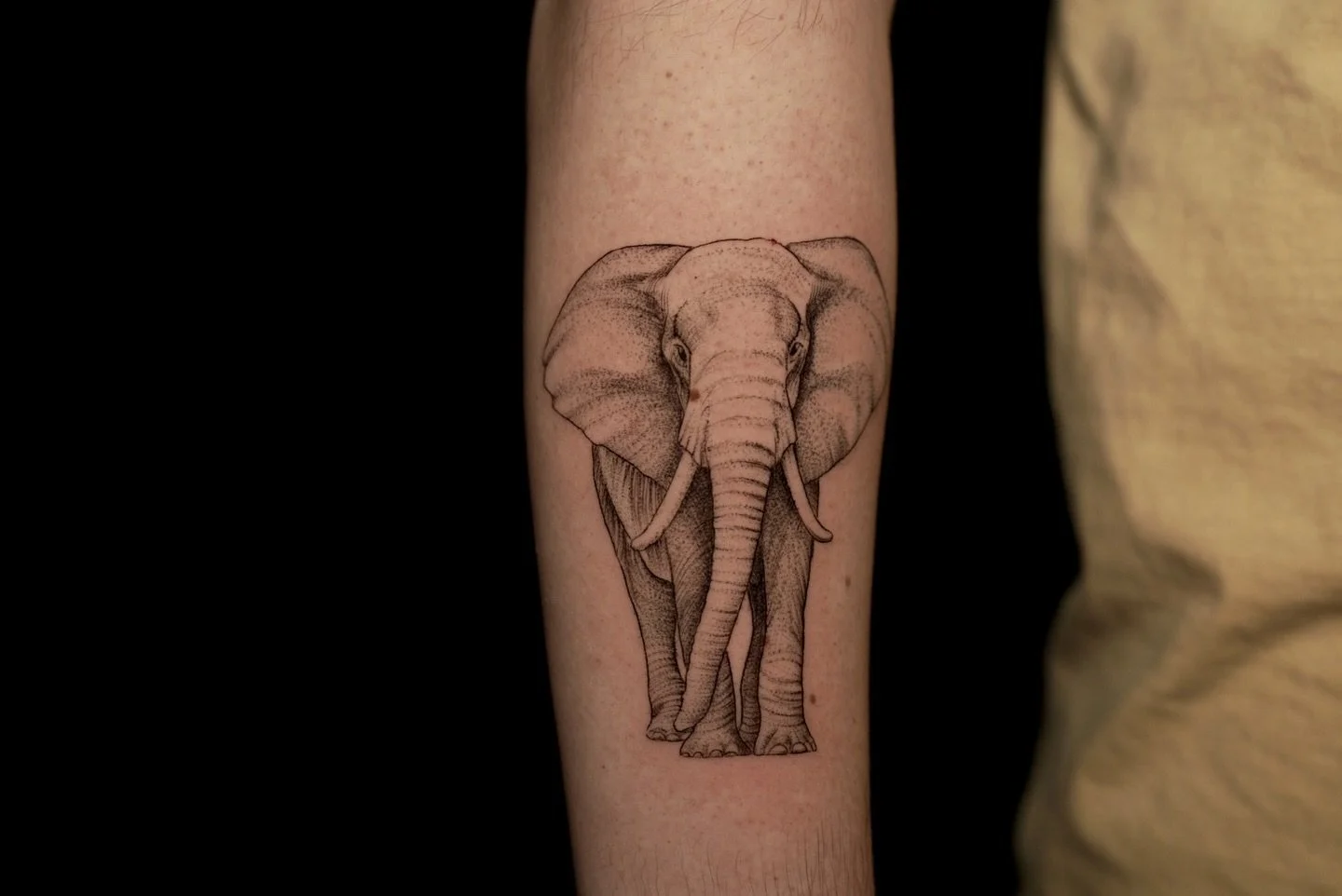 An elephant today for @michaelmosk ! Thank you for coming! 🐘🤘