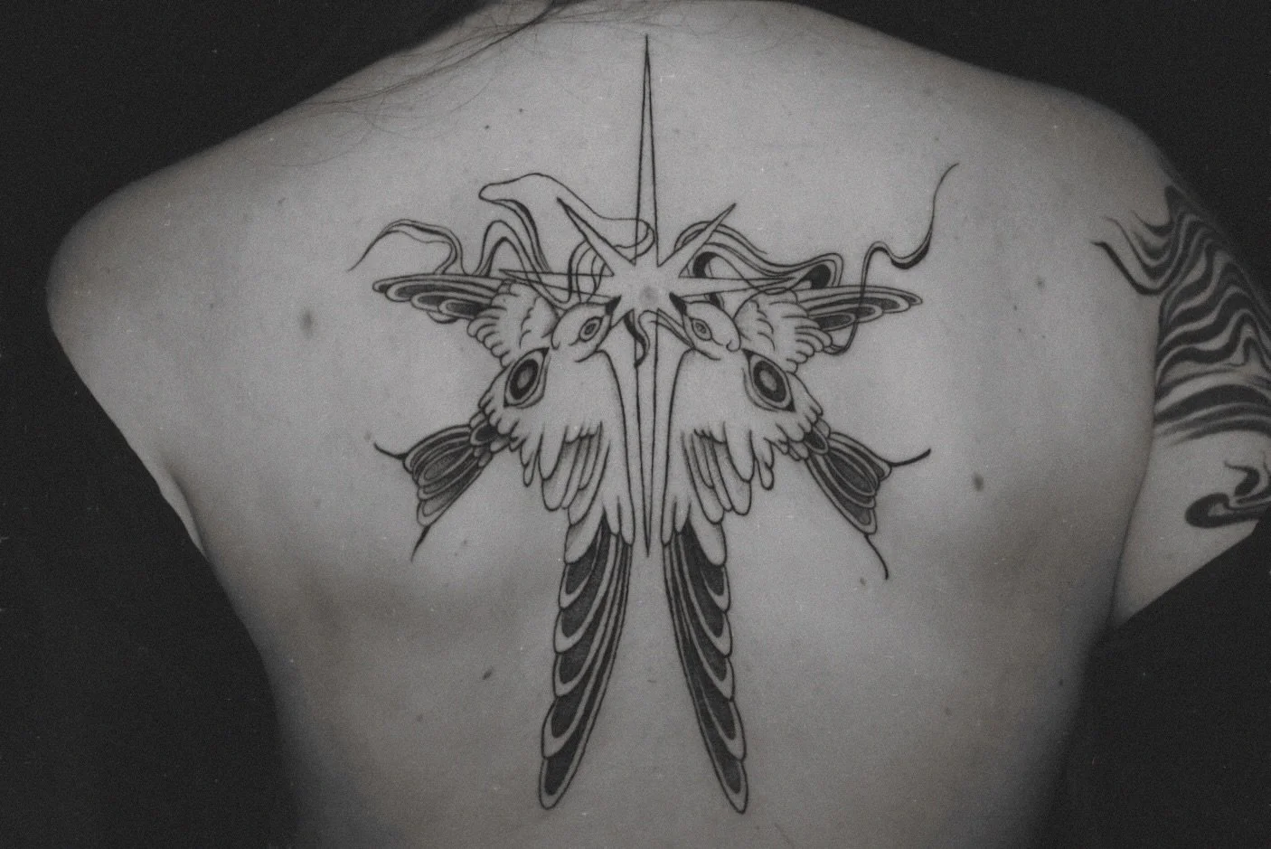 2 Birds with 1 Star 💫 for Cole 🫶 thank you for coming! @itscoletoloman 🙌