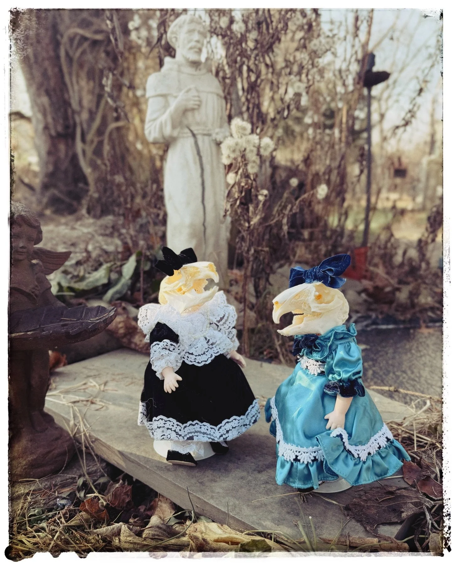 Rabbit sisters 🐇🫶🐇