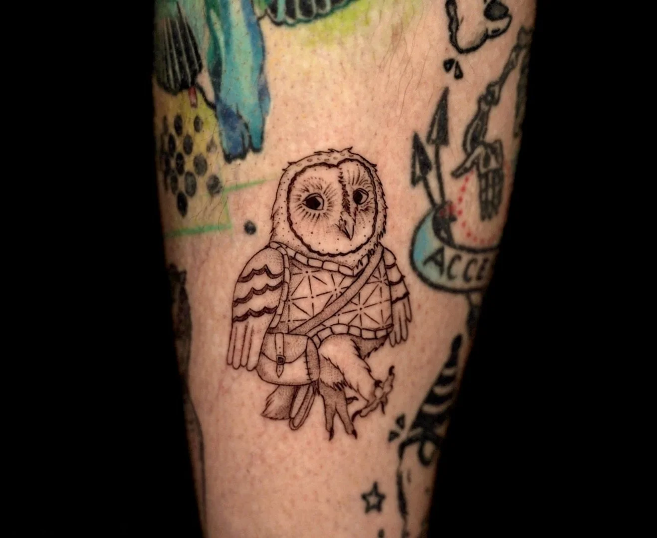 A little owl going on a journey 🦉🗺️ 
Where&rsquo;s he going??

Thanks for coming, Tin!