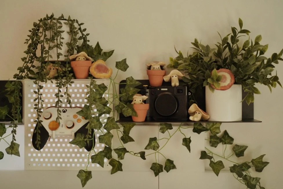 A couple of turkey tails will find the perfect gap on your shelf to call home 🙂&zwj;↕️🍄&zwj;🟫🏡