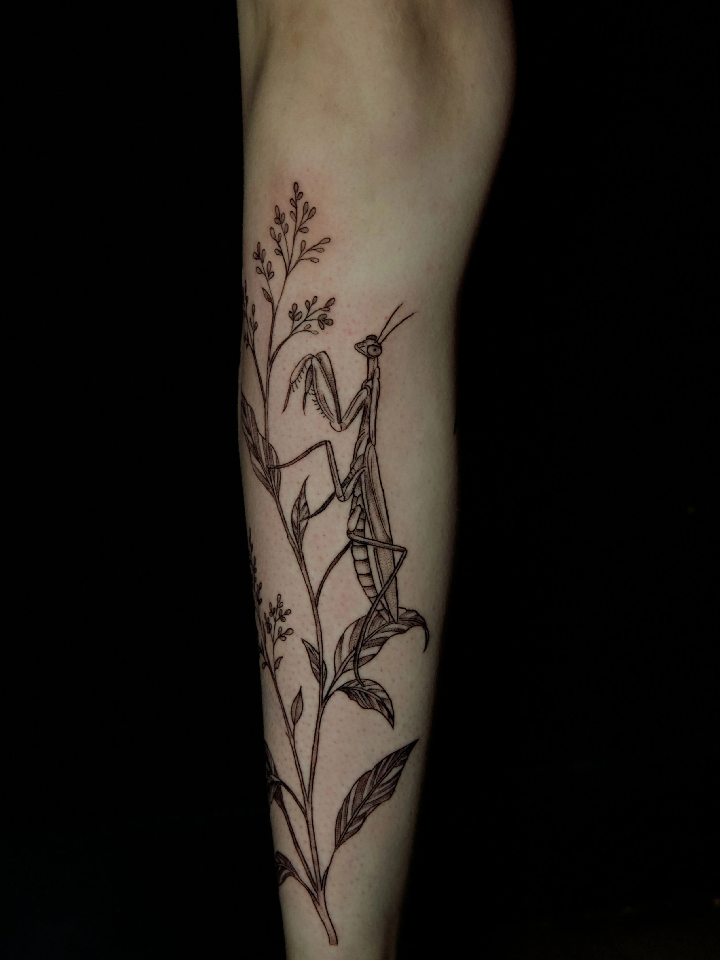 First session adding to @breannagagnon_ &lsquo;s leg! Can&rsquo;t wait to continue on Friday 🎉🥳