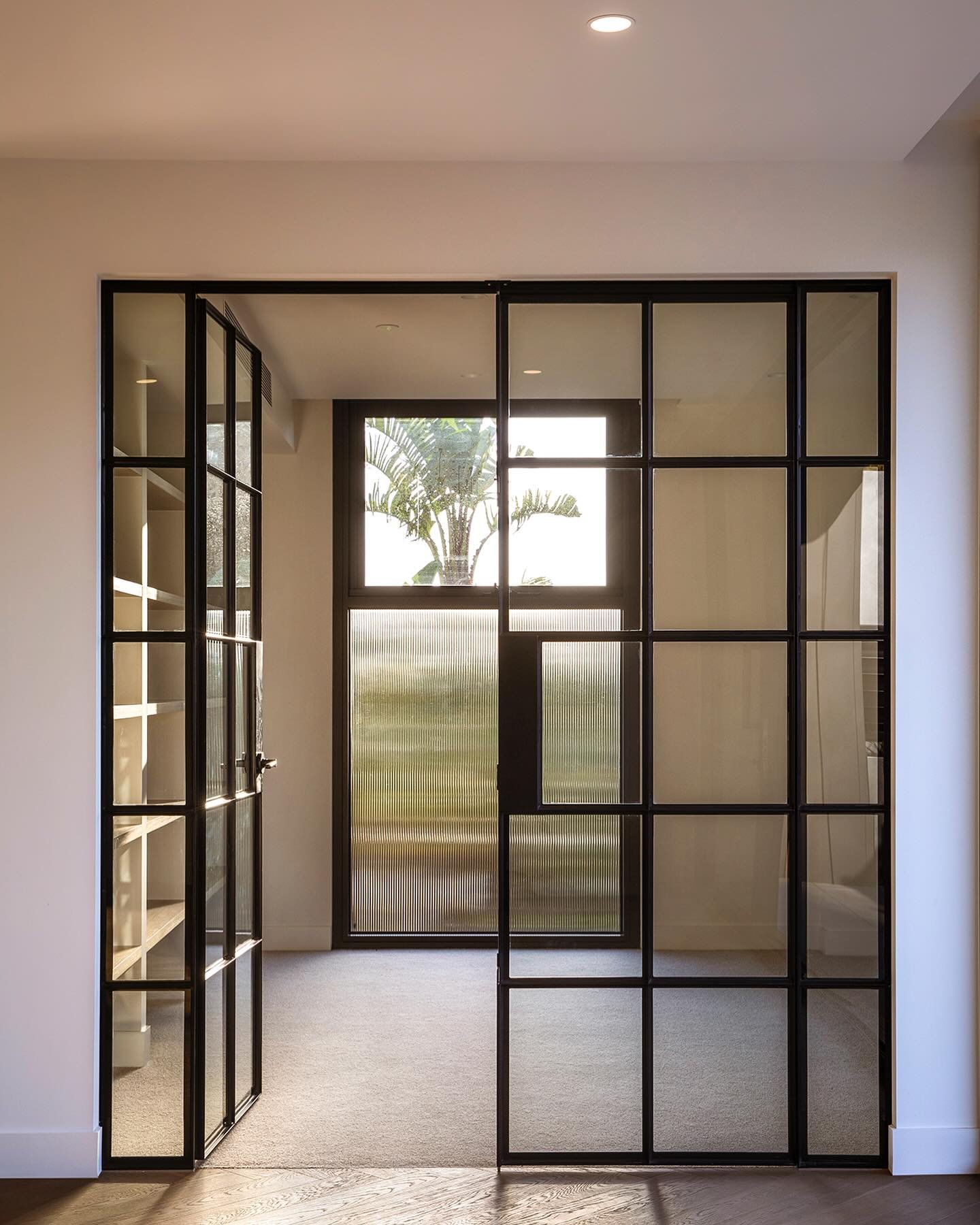 Late afternoon Autumn sunlight at our completed Armadale project shining through this beautiful apartment.