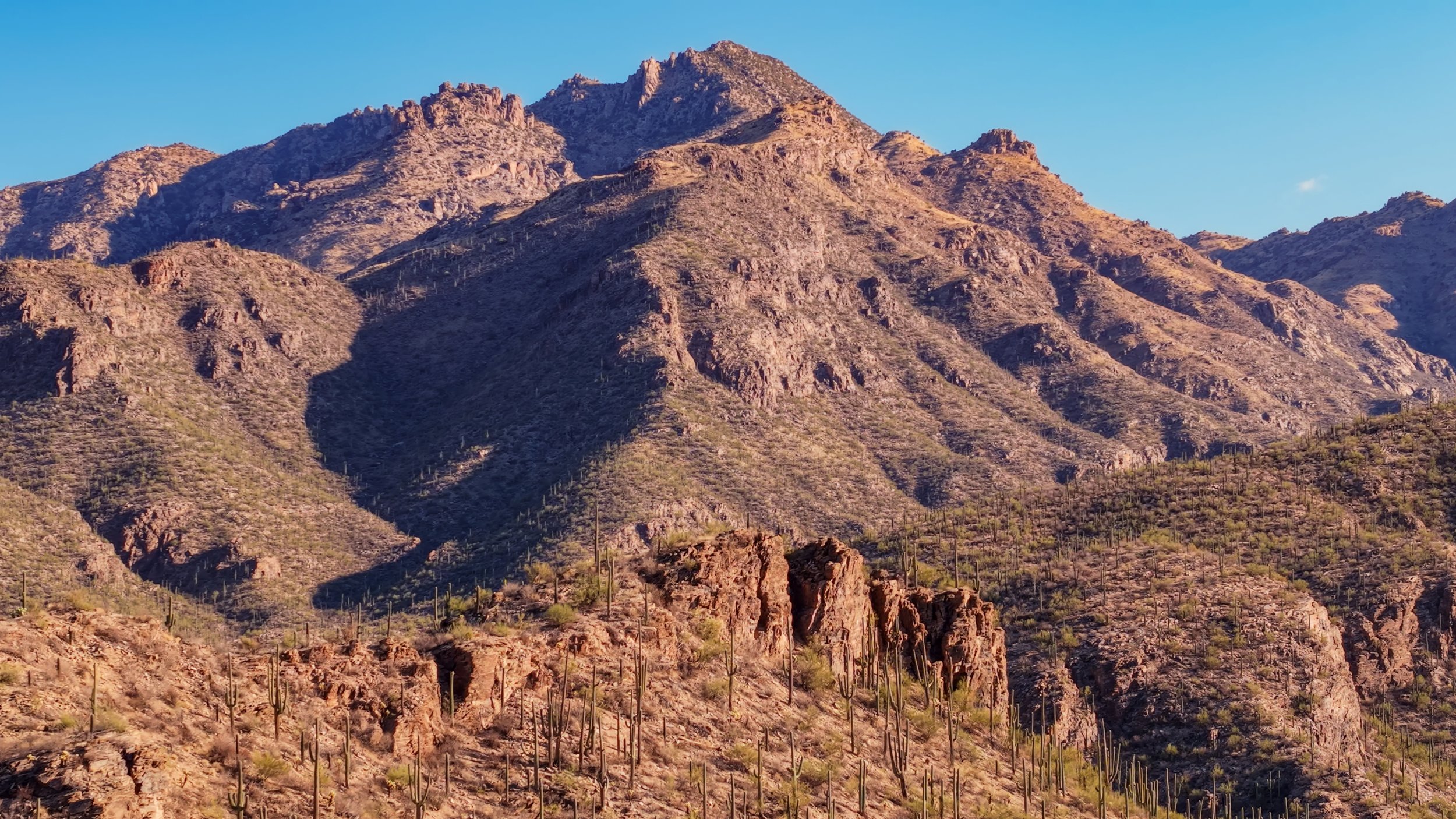 Sabino Canyon Landscape