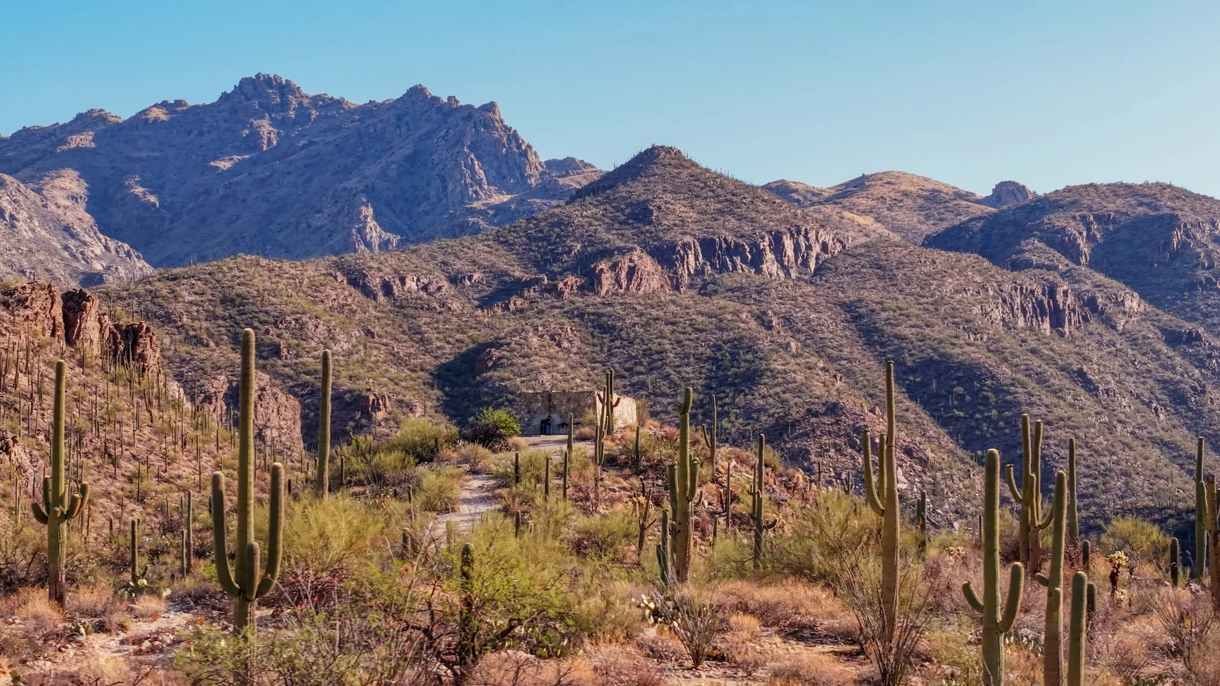 Sabino Canyon Trail