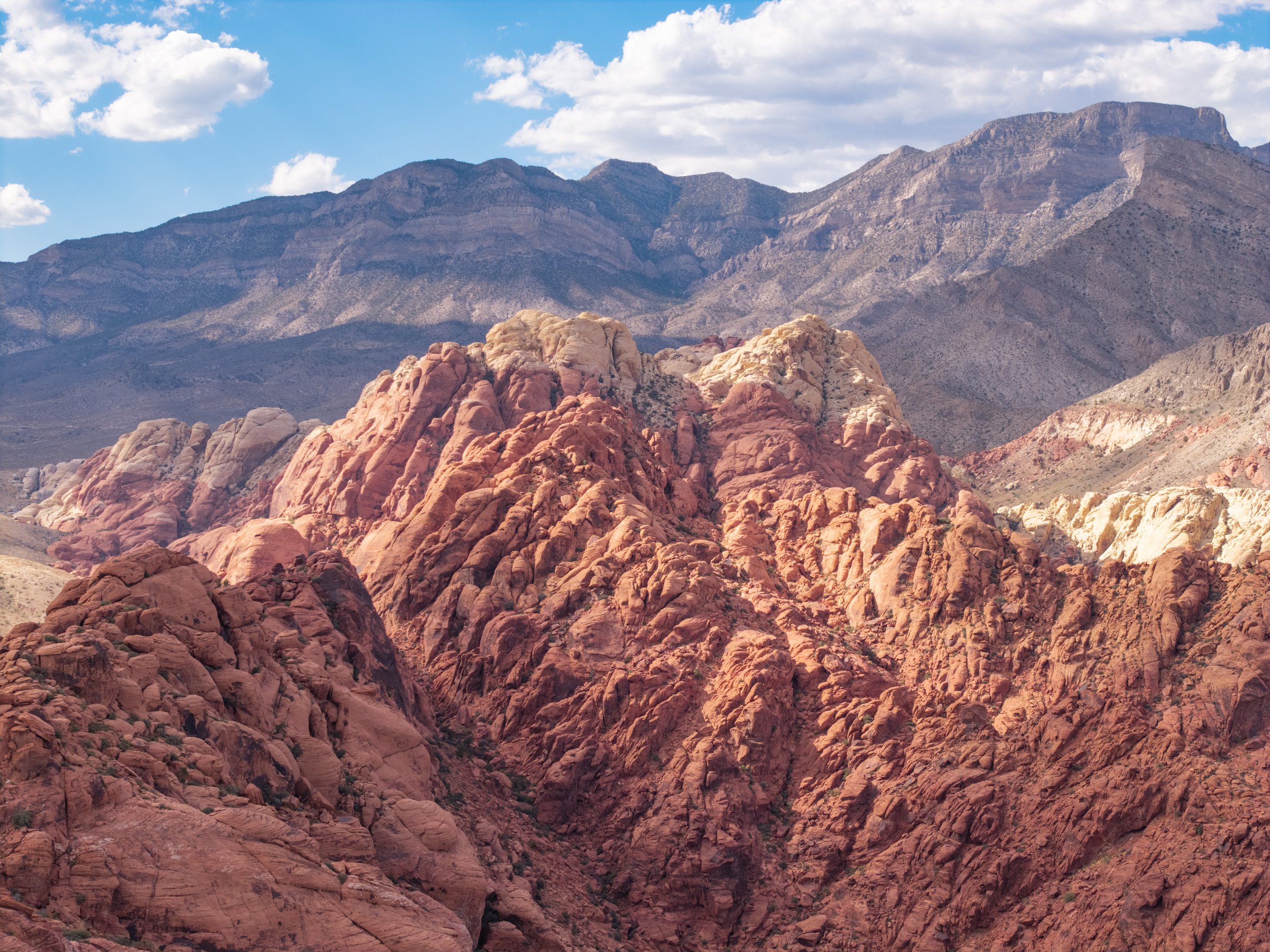 Contrasting Mountains