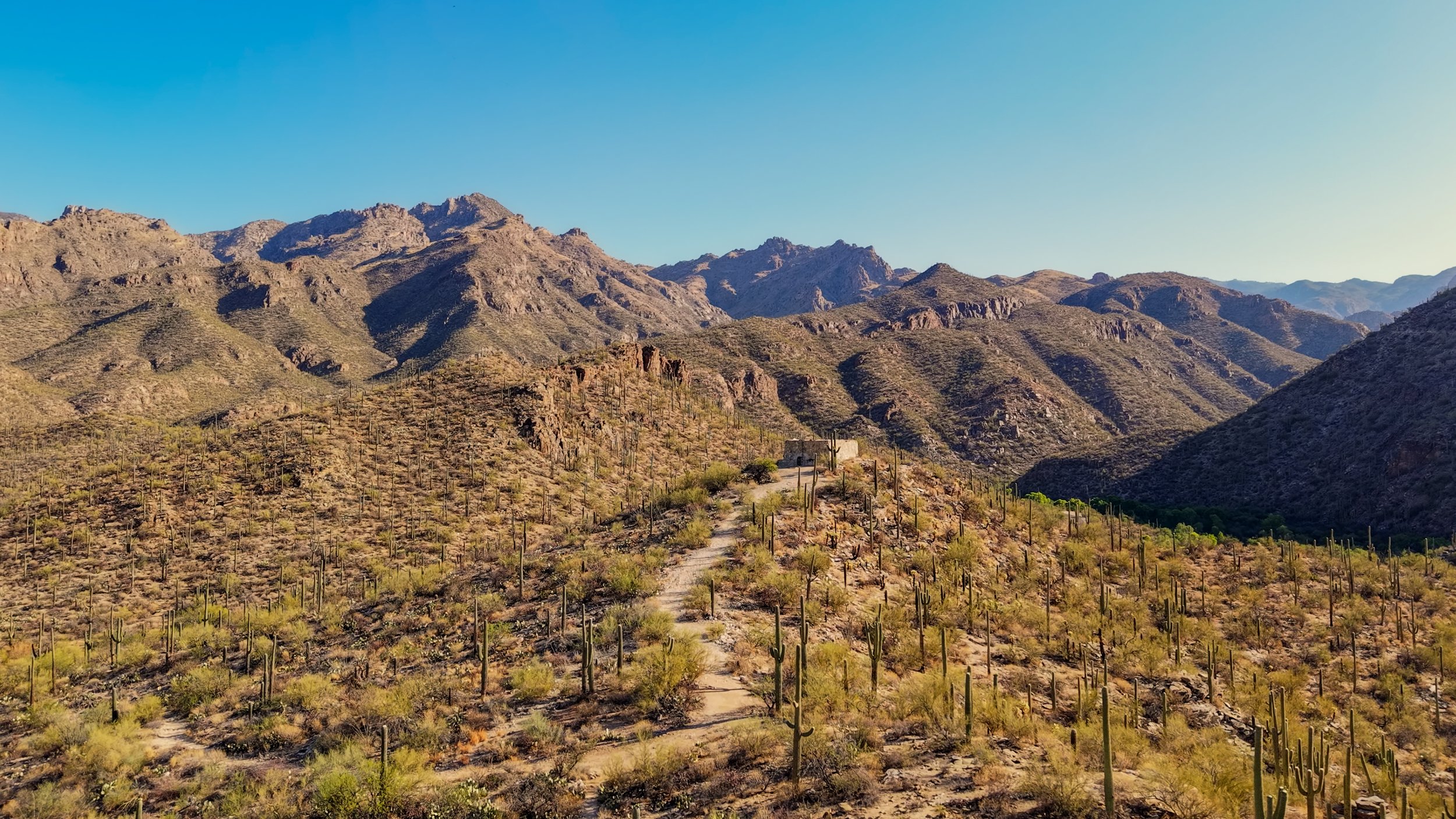 Sabino Canyon - The Path