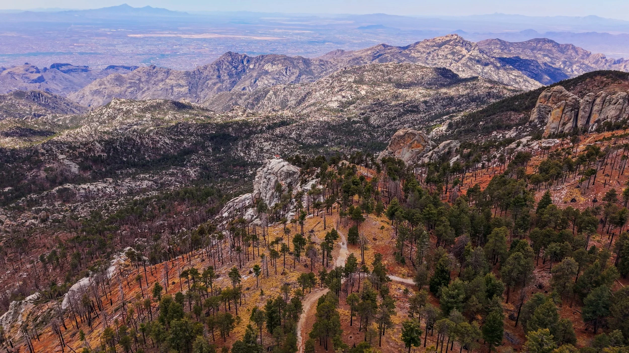 Overlooking Tucson From Mount Lemmon