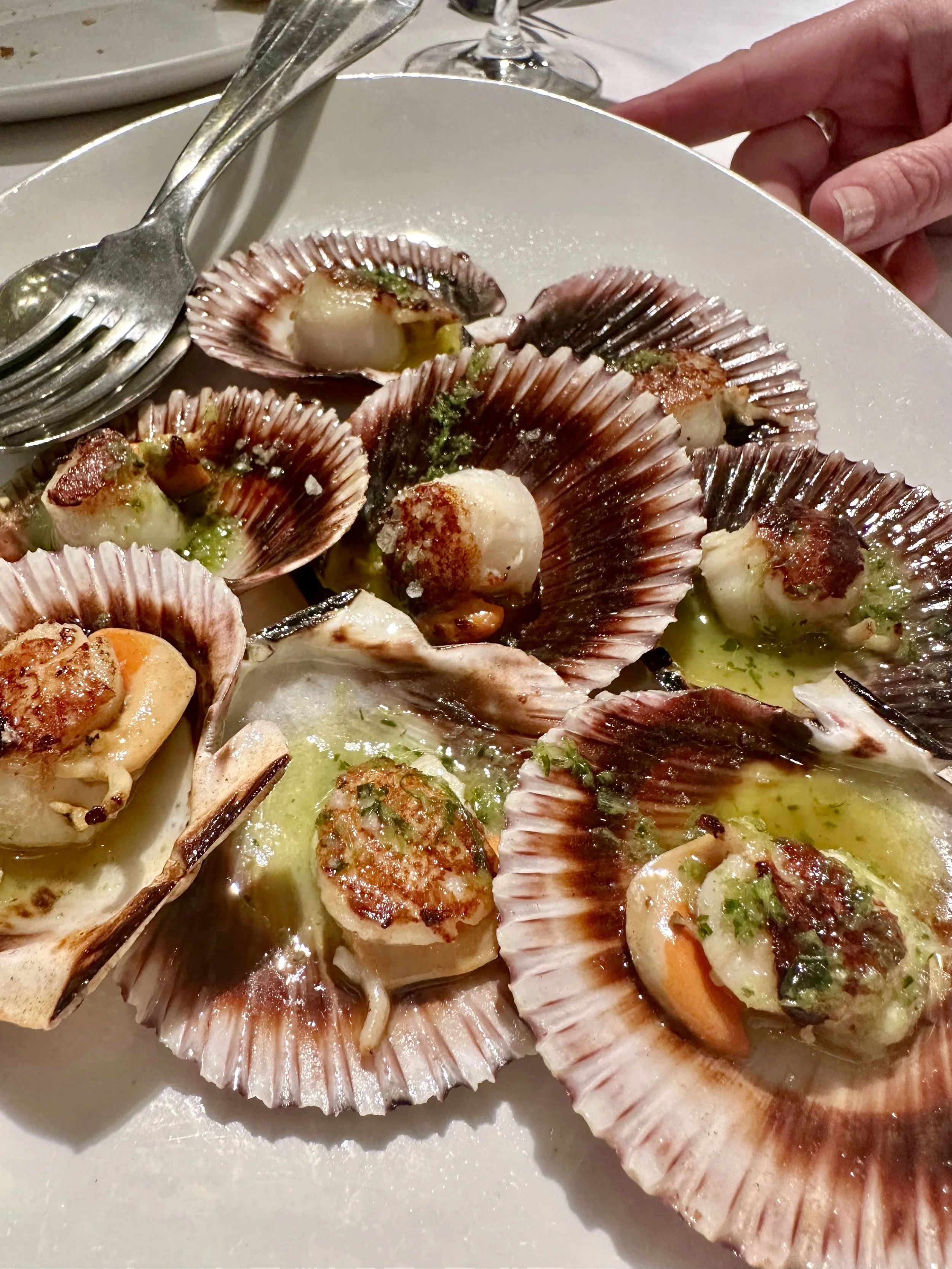 FullSizeRender (5).jpeg