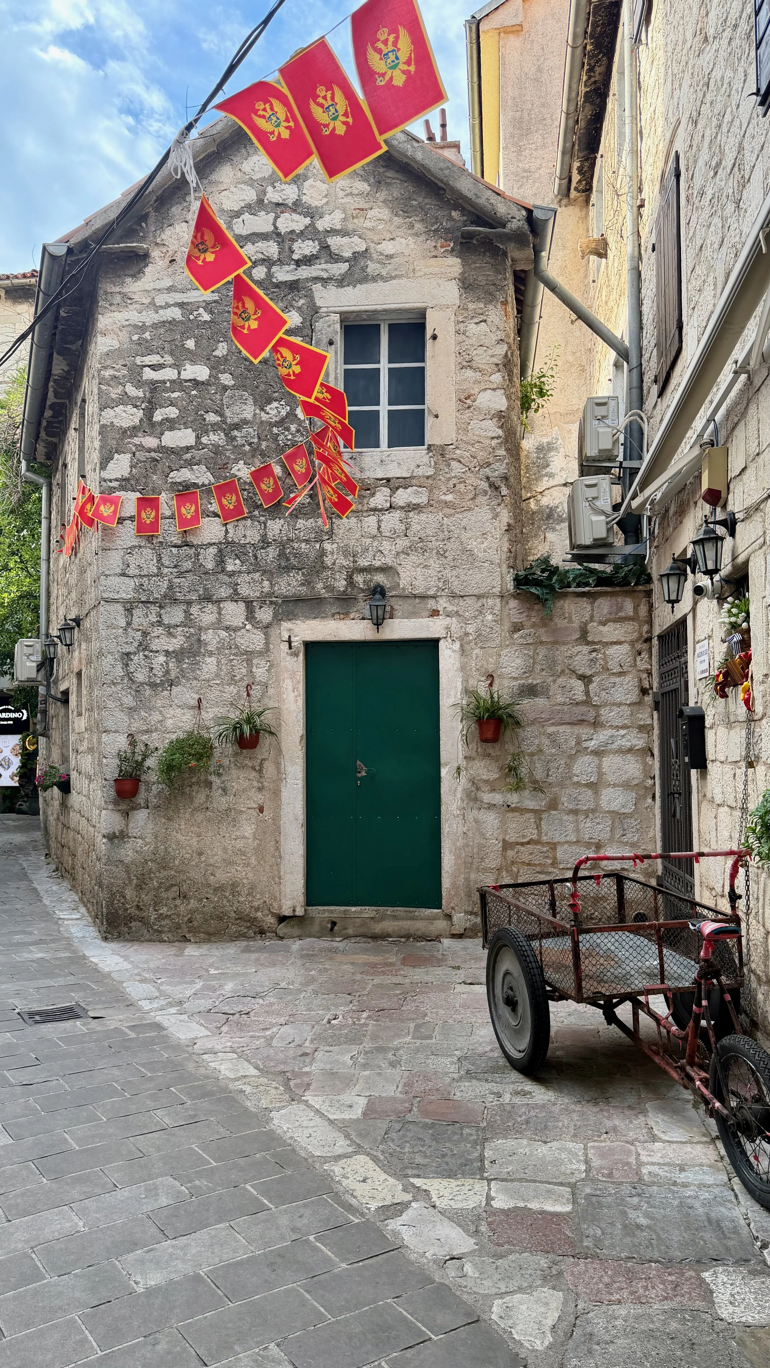 IMG_5449.jpeg